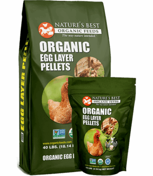 Best Organic Feeds